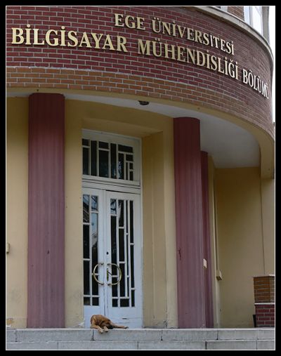 Featured image 1