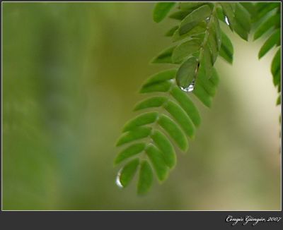 Featured image 1