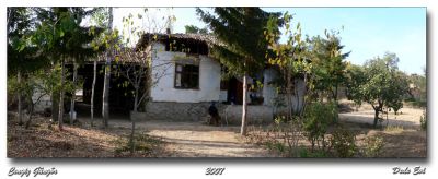 Featured image 1