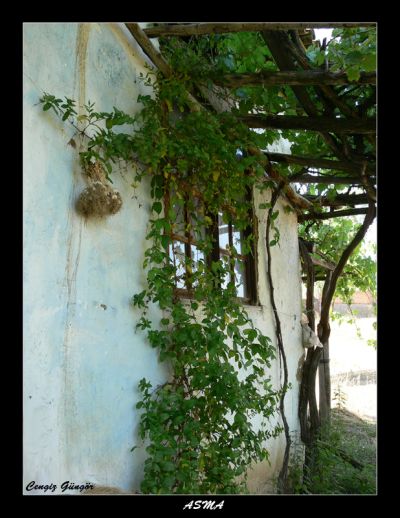 Featured image 1